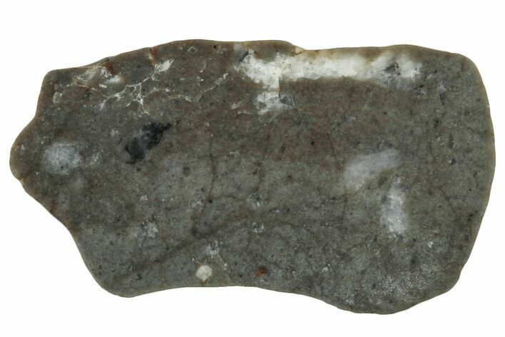 Lunar Meteorite ( g) Slice - Touat #303657